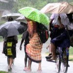 weather