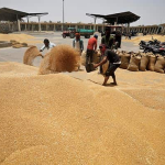 WHEAT EXPORT