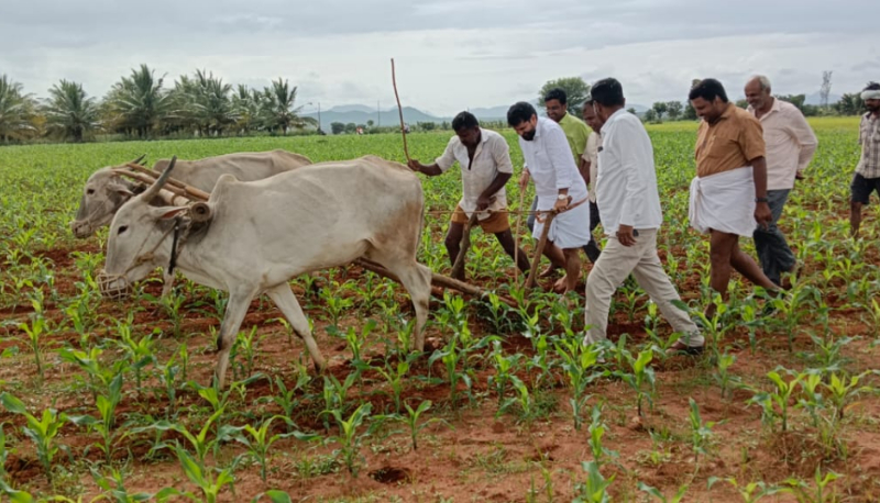 ರಾಜಕಾರಣಿಯಾಗೋಕು ಸೈ, ರೈತನಾಗೋಕು ಸೈ ಎಂದ ಶಾಸಕ ಸಿ.ಟಿ.ರವಿ