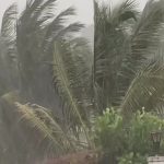 ಮುಂದಿನ 5 ದಿನವೂ ಕರಾವಳಿ ಜಿಲ್ಲೆಗಳಲ್ಲಿ ಮಳೆ ಸಾಧ್ಯತೆ