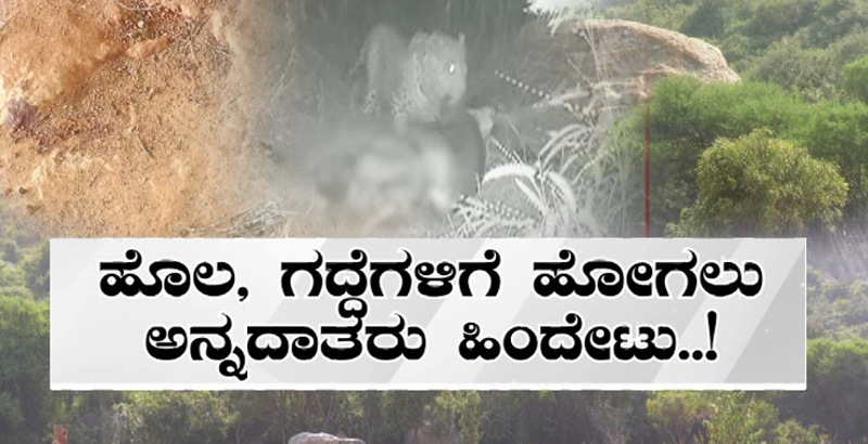 ತೋಟದ ಮನೆಯಲ್ಲಿದ್ದ ಸಾಕು ನಾಯಿ ಕೊಂದ ಚಿರತೆ- ಮನೆಯಿಂದ ಹೊರಬರಲು ಅನ್ನದಾತರು ಹಿಂದೇಟು