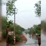 ಮರದ ಕೊಂಬೆ ಕಡಿಯಲು ಹೋಗಿ ವಿದ್ಯುತ್ ಸ್ಪರ್ಶ – ಯುವಕ ಸಾವು