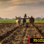 ಸಾಲಬಾಧೆ ತಾಳಲಾರದೆ ರೈತ ಆತ್ಮಹತ್ಯೆ