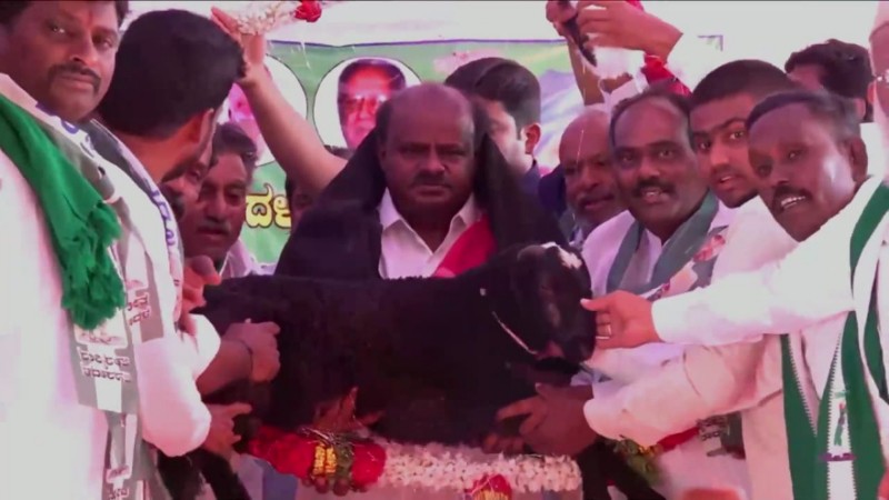 ಲಿಂಗಸುಗೂರು, ಮಾನ್ವಿಯಲ್ಲಿ HDK ಭರ್ಜರಿ ಮತಬೇಟೆ; ಕುಮಾರಸ್ವಾಮಿಗೆ ಟಗರು ಮರಿ ಗಿಫ್ಟ್‌