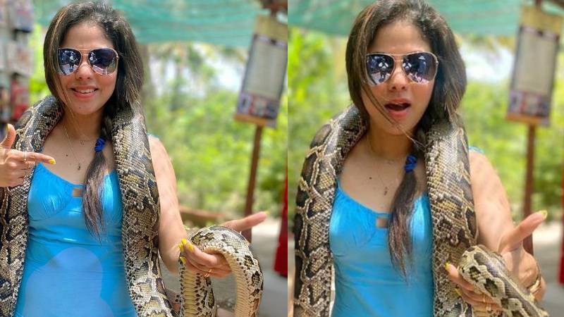 ‘ಗೀತಾ’ ನಟಿ ಶರ್ಮಿತಾ ಮೈ ಮೇಲೆ ಹೆಬ್ಬಾವು