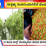 ಬಿಗ್ ಬುಲೆಟಿನ್ 15 July 2023 ಭಾಗ-2
