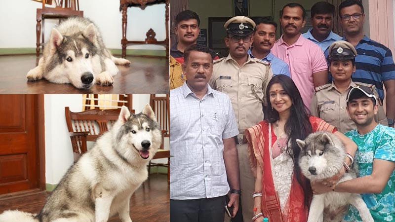 ಕಾಣೆಯಾಗಿದ್ದ ಹಸ್ಕಿ ತಳಿಯ ಕುರುಡು ಶ್ವಾನ ಪತ್ತೆ ಹಚ್ಚಿದ ಪೊಲೀಸರು – ಸಂತಸ ಹಂಚಿಕೊಂಡ ಕುಟುಂಬ