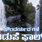 ಅನಾಮಿಕ ಸುಂದರಿ ದಿಡುಪೆ ಫಾಲ್ಸ್