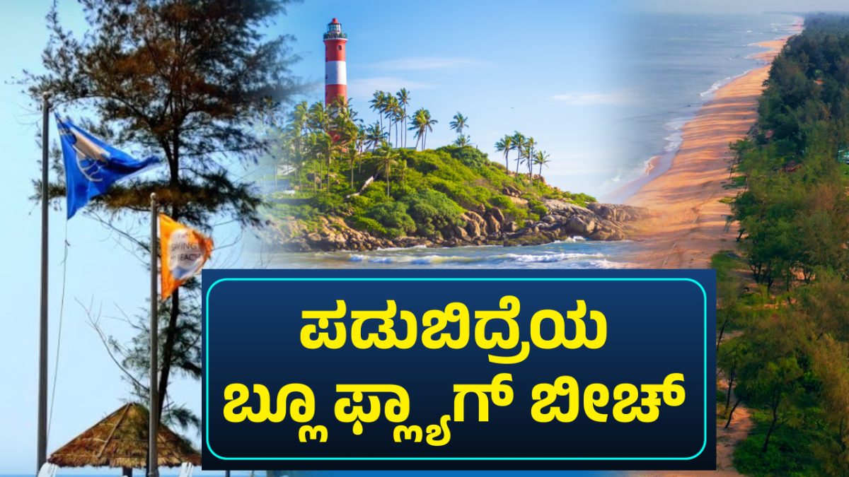ಬ್ಲೂ ಫ್ಲ್ಯಾಗ್ ಖ್ಯಾತಿಯ ಶುಭ್ರ, ಸುಂದರ ಉಡುಪಿಯ ಪಡುಬಿದ್ರೆ ಬೀಚ್‌!