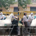 ಬೆಂಗ್ಳೂರು ಕುದುರೆಗಳಿಗೆ ಗ್ಲಾಂಡರ್ಸ್‌ ರೋಗ ಕಂಟಕ; ಚಿತಾಗಾರದಲ್ಲಿ ರೋಗ ಪೀಡಿತ ಕುದುರೆ ಬರ್ನಿಂಗ್‌