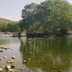 ಕಾವೇರಿ ನದಿಯಲ್ಲಿ ಮುಳುಗಿ ಐವರು ವಿದ್ಯಾರ್ಥಿಗಳ ದುರ್ಮರಣ