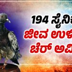 ಪಾರಿವಾಳಗಳನ್ನೇ ಬೇಹುಗಾರಿಕೆಗೆ ಬಳಸೋದ್ಯಾಕೆ? 