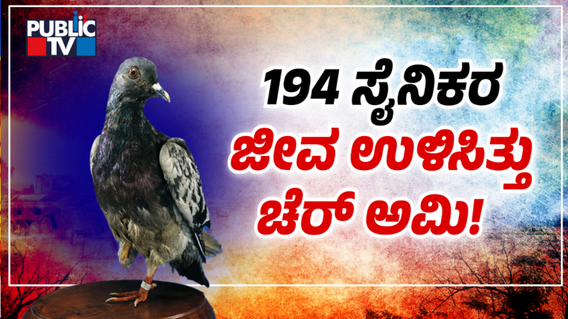 ಪಾರಿವಾಳಗಳನ್ನೇ ಬೇಹುಗಾರಿಕೆಗೆ ಬಳಸೋದ್ಯಾಕೆ? 