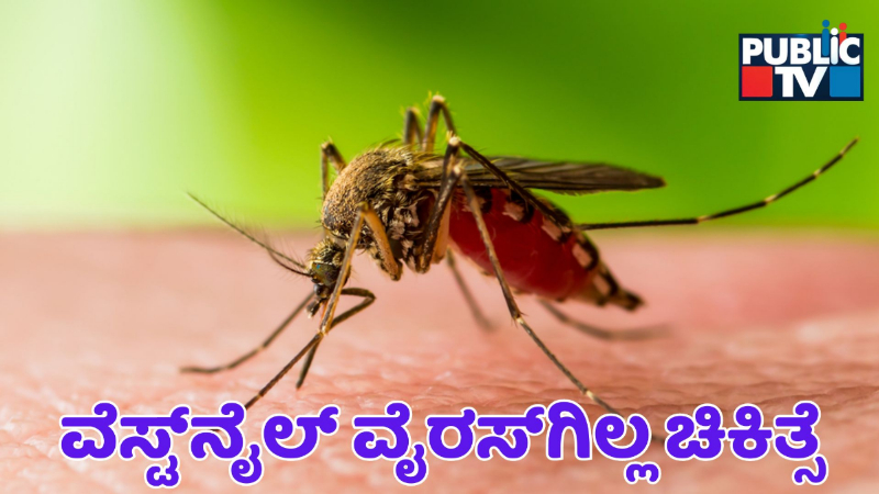 ಕೇರಳದಲ್ಲಿ ವೆಸ್ಟ್‌ನೈಲ್‌ ಆತಂಕ; ಏನಿದು ವೈರಸ್?‌