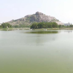 ಯಾದಗಿರಿಯಲ್ಲಿ ವಿಪರೀತ ಬಿಸಿಲಿನಿಂದ ಮೀನುಗಳ ಮಾರಣಹೋಮ