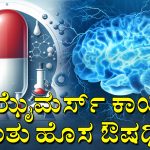 ಅಲ್‌ಝೈಮರ್ಸ್‌ಗೆ ಹೊಸ ಮದ್ದು; ‘ಡೊನಾನೆಮಾಬ್‌’ ಔಷಧಿ ಆತಂಕದ ಮಧ್ಯೆ ಆಶಾವಾದ – ಪ್ರಯೋಜನವೇನು? ಅಪಾಯಗಳೇನು?