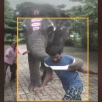 ಕುಡಿತದ ಮತ್ತಿನಲ್ಲಿದ್ದ ವ್ಯಕ್ತಿಯನ್ನ ಎತ್ತಿ ಎಸೆದ  ಕುಕ್ಕೆ ಸುಬ್ರಹ್ಮಣ್ಯ ಕ್ಷೇತ್ರದ ಆನೆ