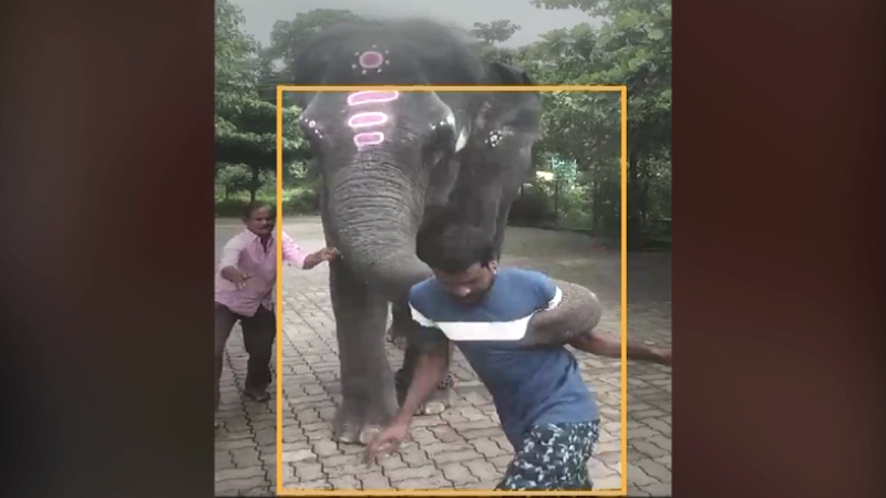 ಕುಡಿತದ ಮತ್ತಿನಲ್ಲಿದ್ದ ವ್ಯಕ್ತಿಯನ್ನ ಎತ್ತಿ ಎಸೆದ  ಕುಕ್ಕೆ ಸುಬ್ರಹ್ಮಣ್ಯ ಕ್ಷೇತ್ರದ ಆನೆ