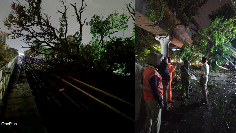 ಮಳೆಯ ಅವಾಂತರ: ಮೆಟ್ರೋ ಹಳಿಯ ಮೇಲೆ ಬಿದ್ದ ಮರದ ರೆಂಬೆ, ಕೊಂಬೆ – ನೇರಳೆ ಮಾರ್ಗ ಸಂಚಾರದಲ್ಲಿ ವ್ಯತ್ಯಯ!