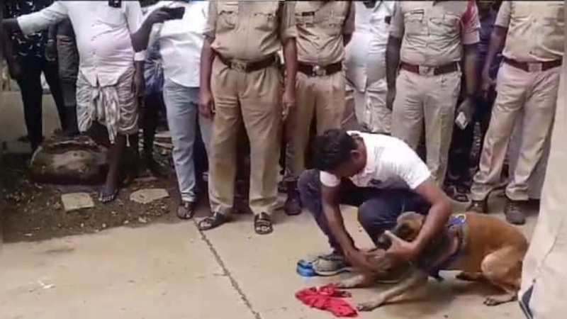 ಅಪ್ರಾಪ್ತೆ ಮೇಲೆ ಸಾಮೂಹಿಕ ಅತ್ಯಾಚಾರವೆಸಗಿ ಹತ್ಯೆಗೈದ ಹಿರಿಯ ವಿದ್ಯಾರ್ಥಿಗಳು
