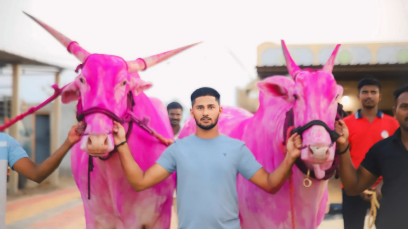 ಬರೋಬ್ಬರಿ 18 ಲಕ್ಷಕ್ಕೆ ವಿಜಯಪುರದ ಎತ್ತು ಮಾರಾಟ