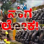 ದೇಶದ ಅತ್ಯದ್ಭುತ ʻನಾಗʼತಾಣಗಳ ಬಗ್ಗೆ ನಿಮಗೆ ಗೊತ್ತೇ? ಇಲ್ಲಿ ನಂಬಿಕೆ ಸುಳ್ಳಾಗಿಲ್ಲ ಅಂತಾರೆ ಭಕ್ತರು!