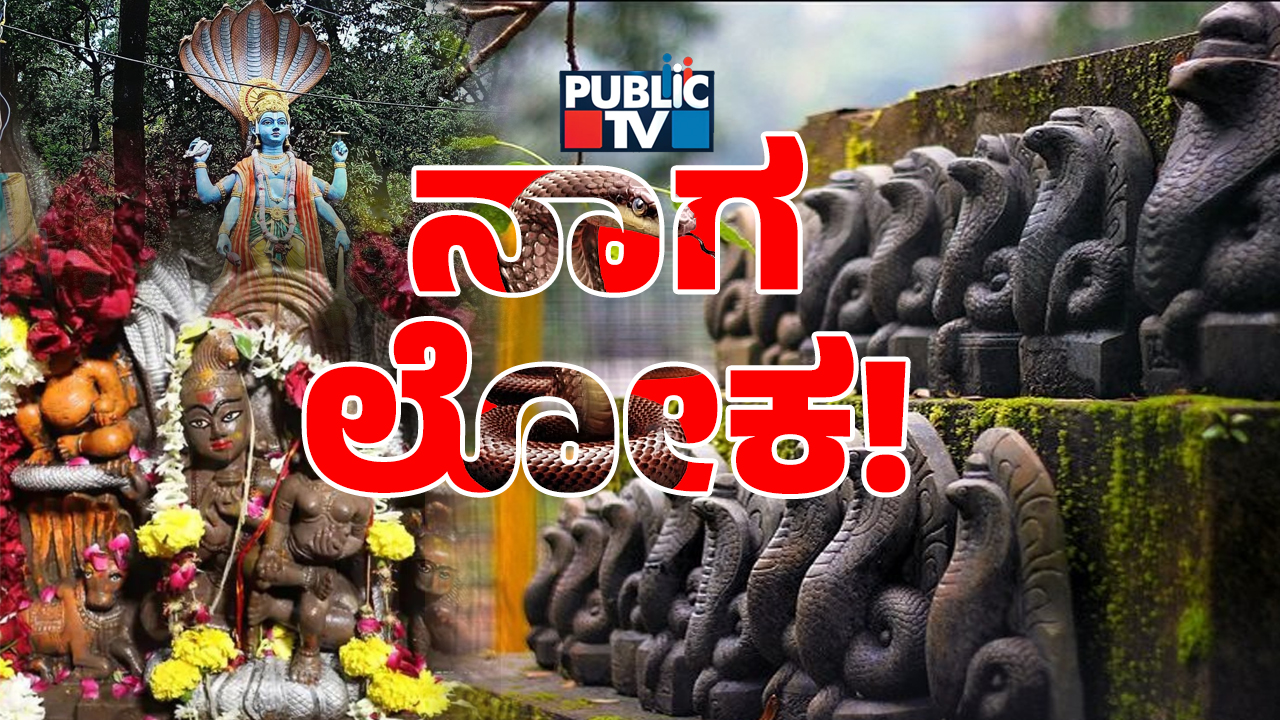 ದೇಶದ ಅತ್ಯದ್ಭುತ ʻನಾಗʼತಾಣಗಳ ಬಗ್ಗೆ ನಿಮಗೆ ಗೊತ್ತೇ? ಇಲ್ಲಿ ನಂಬಿಕೆ ಸುಳ್ಳಾಗಿಲ್ಲ ಅಂತಾರೆ ಭಕ್ತರು!