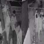 ಕಂಠಪೂರ್ತಿ ಕುಡಿದು ಕಿರಿಕ್ – ಊಟ ನೀಡದ್ದಕ್ಕೆ ಡಾಬಾ ಮಾಲೀಕನಿಗೆ ಚಾಕು ಇರಿತ