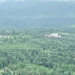 ವಯನಾಡು ದುರಂತದ ಬಳಿಕ ಸರ್ಕಾರ ಅಲರ್ಟ್- ಕಾಫಿನಾಡಲ್ಲಿ 40 ಅನಧಿಕೃತ ಹೋಂ ಸ್ಟೇ,  ರೆಸಾರ್ಟ್‌ಗಳಿಗೆ ನೋಟಿಸ್