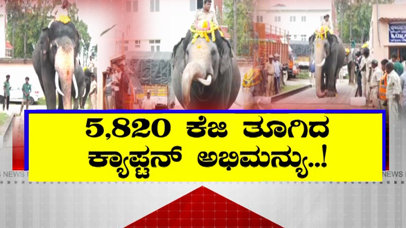 Mysuru Dasara | ನಾಡಿಗೆ ಬಂದು ತೂಕ ಹೆಚ್ಚಿಸಿಕೊಂಡ ಕ್ಯಾಪ್ಟನ್‌ ಅಭಿಮನ್ಯು & ಟೀಂ
