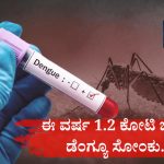 ಪ್ರಪಂಚದಾದ್ಯಂತ ಈ ವರ್ಷ ಡೆಂಗ್ಯೂ ಪ್ರಕರಣ ಹೆಚ್ಚಳ – ಕಾರಣವೇನು? 