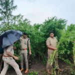 ಬೀದರ್‌ ಪೊಲೀಸರ ಭರ್ಜರಿ ಕಾರ್ಯಾಚರಣೆ – 2 ಕೋಟಿಗೂ ಅಧಿಕ ಮೌಲ್ಯದ ಗಾಂಜಾ ಸೀಜ್‌