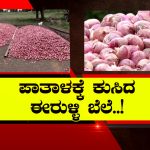 10,000 ಹೆಕ್ಟೇರ್ ಬೆಳೆ ಹಾನಿ – ಪಾತಾಳಕ್ಕೆ ಕುಸಿದ ಈರುಳ್ಳಿ ಬೆಲೆ, ರೈತರ ಕಣ್ಣಲ್ಲಿ ನೀರು