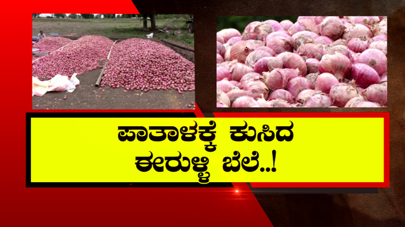 10,000 ಹೆಕ್ಟೇರ್ ಬೆಳೆ ಹಾನಿ – ಪಾತಾಳಕ್ಕೆ ಕುಸಿದ ಈರುಳ್ಳಿ ಬೆಲೆ, ರೈತರ ಕಣ್ಣಲ್ಲಿ ನೀರು