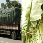 ರಾಜ್ಯಕ್ಕೆ ಎಂಟ್ರಿಯಾಗ್ತಿದೆ ಕೇರಳ ತ್ಯಾಜ್ಯ – ವಾಹನಗಳನ್ನು ಹಿಡಿದ ಗಡಿಜಿಲ್ಲೆಯ ಜನರು