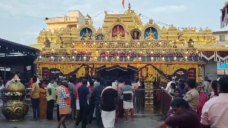 ಹಾಸನಾಂಬೆ ದರ್ಶನಕ್ಕೆ ವಿದ್ಯುಕ್ತ ತೆರೆಗೆ ಕ್ಷಣಗಣನೆ – ಭಕ್ತ ಸಾಗರ, ದಾಖಲೆಯ ಆದಾಯ