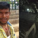 Bengaluru| ಪಾರ್ಕ್‌ನಲ್ಲಿ ಮಲಗಿದ್ದಾಗ ಬೃಹತ್ ಮರ ಬಿದ್ದು ವ್ಯಕ್ತಿ ದುರ್ಮರಣ
