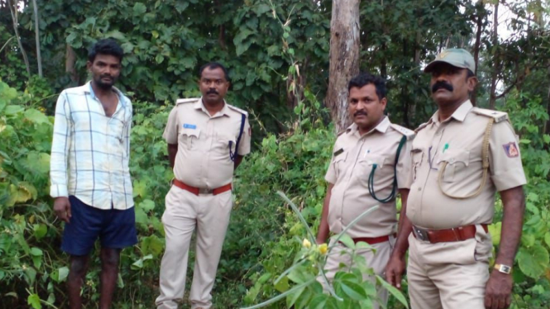 ಶಿವಮೊಗ್ಗ | ದಾನವಾಡಿ ಅರಣ್ಯದಲ್ಲಿ ಕಡವೆ ಬೇಟೆ – ಆರೋಪಿ ಅರೆಸ್ಟ್