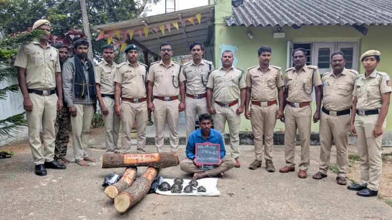 ಬಂಡೀಪುರದ ಅರಣ್ಯಕ್ಕೆ ಅಕ್ರಮ ಪ್ರವೇಶ; 6 ಜೀವಂತ ಆಮೆ, 72 ಕೆಜಿ ಶ್ರೀಗಂಧ ತುಂಡು ವಶ – ಆರೋಪಿ ಬಂಧನ