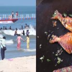 New Year 2025: ಮಲ್ಪೆ ಬೀಚ್‌ನಲ್ಲಿ ಪ್ರವಾಸಿಗರ ಜಾತ್ರೆ – ಮಸಾಲೆ ಹಚ್ಚಿಕೊಂಡು ಕಾಯುತ್ತಿರುವ ತಾಜಾ ಮೀನು
