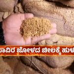 ಗಬ್ಬೆದ್ದು ನಾರುತ್ತಿರುವ ಹುಳಗಳಿರುವ ಜೋಳ ಪಡಿತರ ಅಂಗಡಿಗಳಿಗೆ ವಿತರಣೆ!
