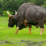 ಸಾಂದರ್ಭಿಕ ಚಿತ್ರ