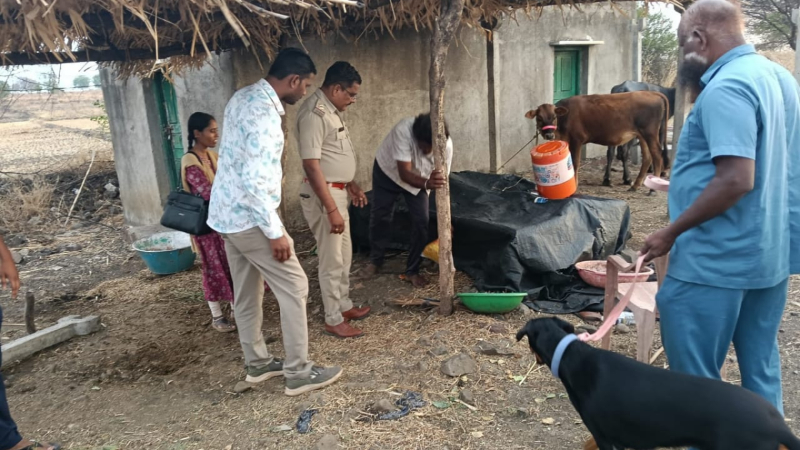 ತೊಗರಿ ಹೊಟ್ಟಿನಲ್ಲಿ ಬಚ್ಚಿಟ್ಟಿದ್ದ 7 ಲಕ್ಷಕ್ಕೂ ಅಧಿಕ ಮೌಲ್ಯದ ಗಾಂಜಾ ಪತ್ತೆ ಹಚ್ಚಿದ ಶ್ವಾನ