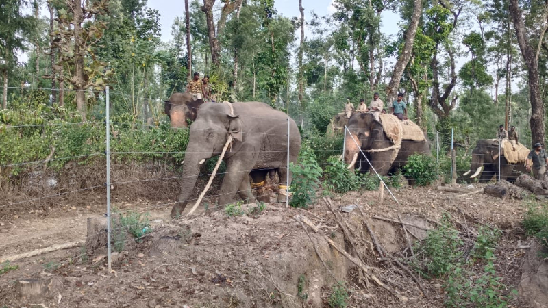 ಎಟಿಎಫ್‌ ಸಿಬ್ಬಂದಿಯನ್ನು ಅಟ್ಟಾಡಿಸಿದ್ದ ಕಾಡಾನೆ ವಿಕ್ರಾಂತ್‌ ಸೆರೆ – ಜೀವ ಪಣಕ್ಕಿಟ್ಟು ಕಾರ್ಯಾಚರಣೆ ಮಾಡಿದ ತಂಡ