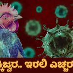 PublicTV Explainer: ಕರ್ನಾಟಕದಲ್ಲಿ ಹೆಚ್ಚುತ್ತಿದೆ ಹಕ್ಕಿಜ್ವರ ಆತಂಕ; ಏನಿದು ಕಾಯಿಲೆ? ಮುಂಜಾಗ್ರತಾ ಕ್ರಮ ಏನು?