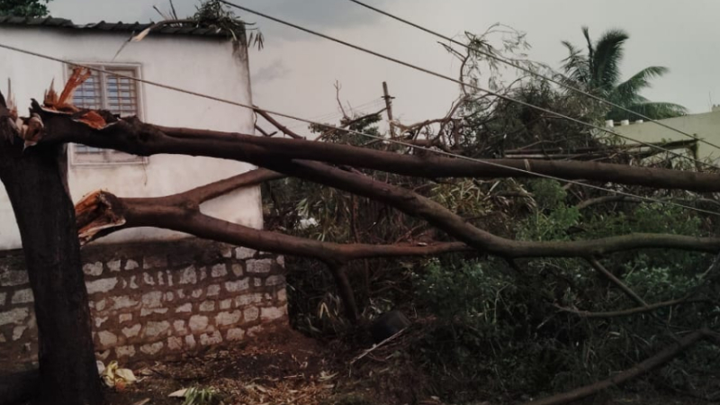 ಬಿರುಗಾಳಿ ಸಹಿತ ಮಳೆ – ರೇಷ್ಮೆ ಗೂಡಿಗೆ ಸಿಡಿಲು ಬಡಿದು ರೈತ ಸಾವು