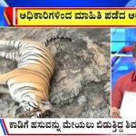 ಬಿಗ್‌ ಬುಲೆಟಿನ್‌ 27 June 2025 ಭಾಗ-1