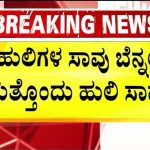5 ಹುಲಿಗಳ ನಿಗೂಢ ಸಾವು ಬೆನ್ನಲ್ಲೇ ಬಂಡೀಪುರದಲ್ಲಿ ಮತ್ತೊಂದು ಹುಲಿ ಸಾವು