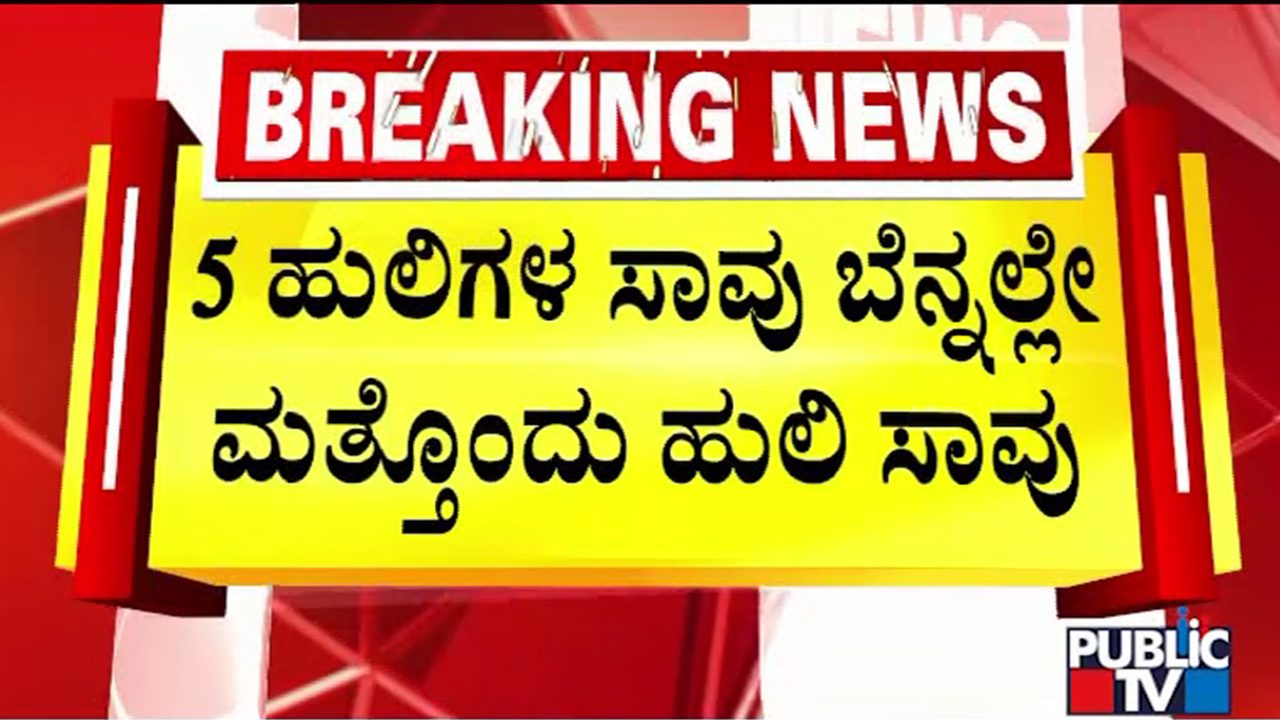 5 ಹುಲಿಗಳ ನಿಗೂಢ ಸಾವು ಬೆನ್ನಲ್ಲೇ ಬಂಡೀಪುರದಲ್ಲಿ ಮತ್ತೊಂದು ಹುಲಿ ಸಾವು