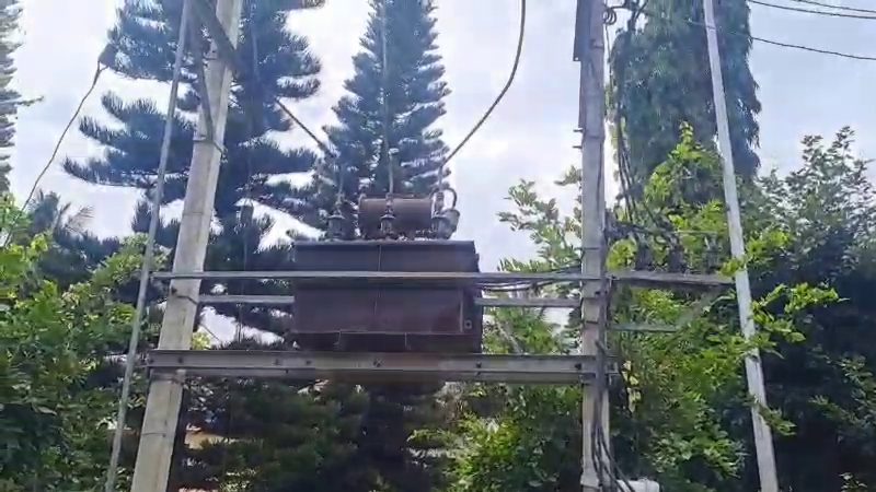 ವಿದ್ಯುತ್ ಪ್ರವಹಿಸಿ ಹಸು ಸಾವು